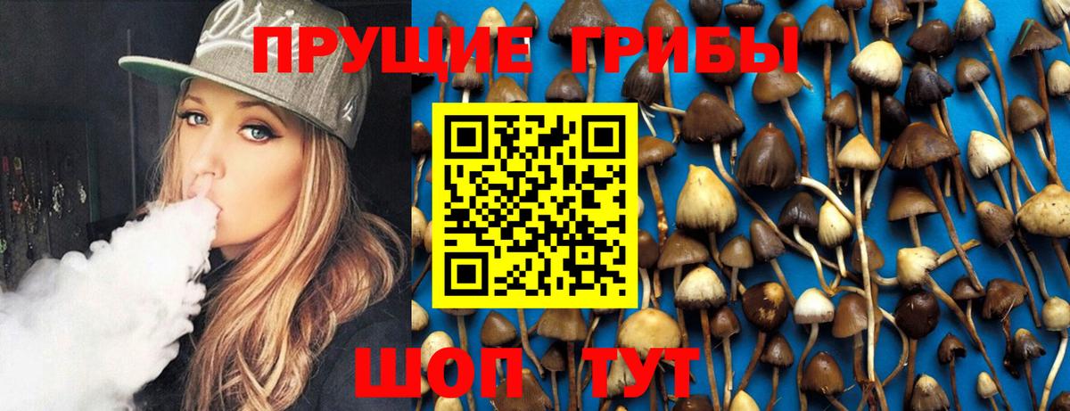 Псилоцибиновые грибы GOLDEN TEACHER Нефтекамск