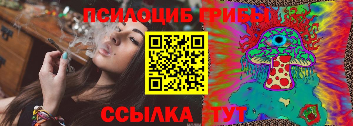 Псилоцибиновые грибы Cubensis  Вход с VPN  Нефтекамск 